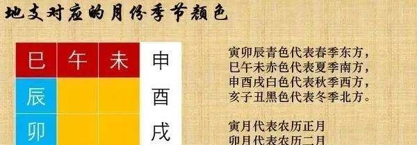 天干地支属性识人术,天干地支语文文学常识图11