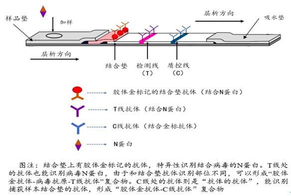 抗原检测一道杠都不明显是啥意思 橙汁滴抗原检测条上出现(2)