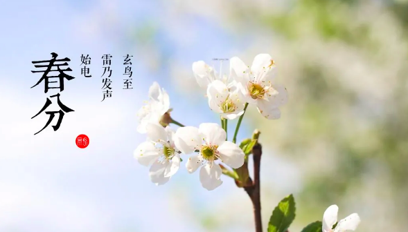 春分节气,春分节气的特点和风俗小班教案图4