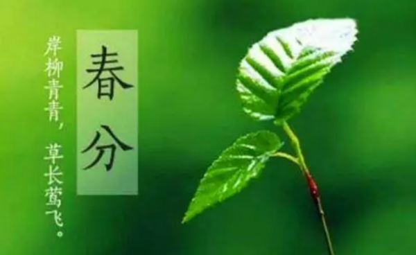 春分节气,春分节气的特点和风俗小班教案图2