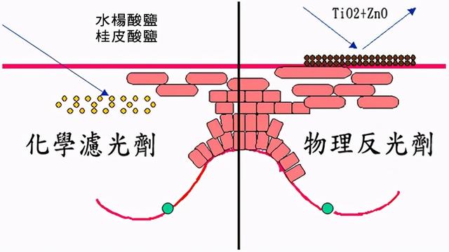 最简单有效的12个美白方法（就绕不开这5种方法）(3)