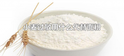 ​小麦过敏用什么代替面粉（小麦过敏可以用什么代替面粉）