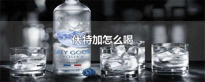 ​伏特加怎么喝(伏特加国际通用的最主流喝法)