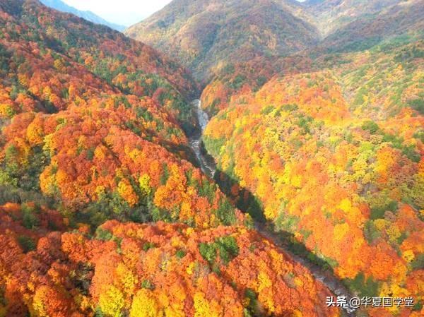 四川达州宣汉巴山大峡谷风景区（四川达州宣汉县巴山大峡谷景区）(3)