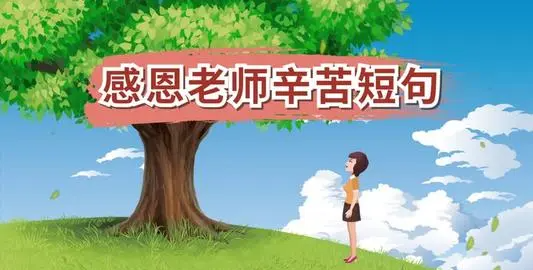 老师辛苦付出的感话,感恩老师辛苦的付出的句子图1