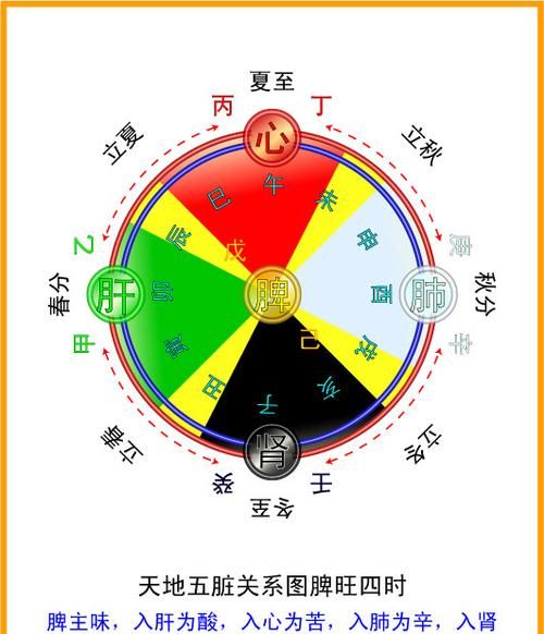 天干地支与阴阳五行的关系种类