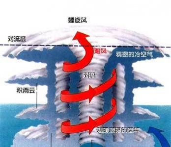 ​台风是怎样形成的，台风是怎么形成的？