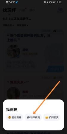 tt语音公演是什么意思