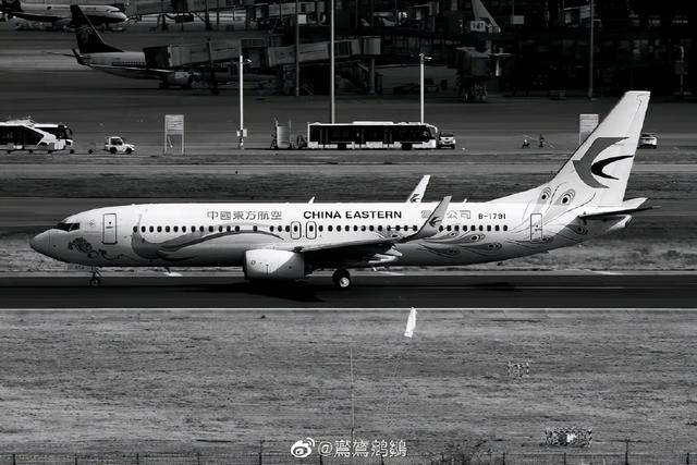 东方航空公司历史空难（2000年以来第二次空难）(1)