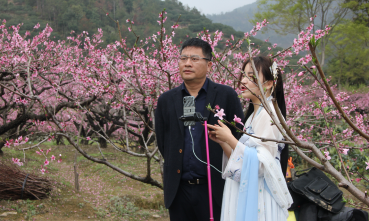 白水洋桃花节在哪里,白水洋的桃花节什么时候开始 解