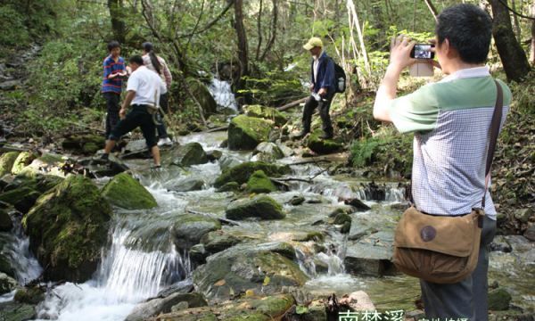 终南山在哪里,终南山在哪里哪个省的图7