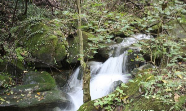 终南山在哪里,终南山在哪里哪个省的图8