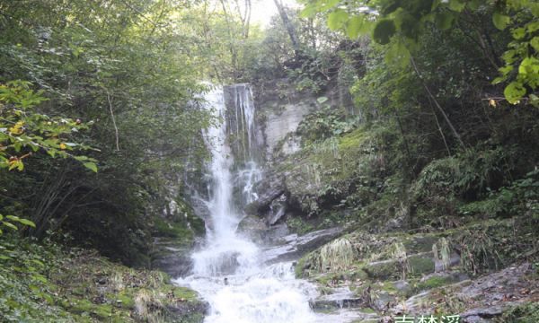 终南山在哪里,终南山在哪里哪个省的图6