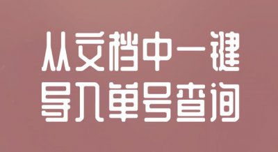 ​提单号在哪里查询（三分钟快速查单）