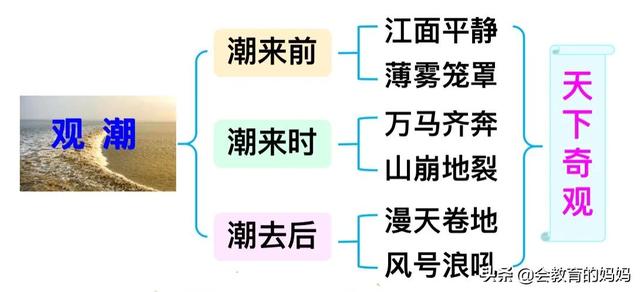 四年级上册语文观潮详细讲解（小学语文四年级上册第1课观潮超详细课文笔记）(4)