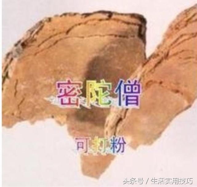 最简单的快速祛斑小妙招（生活中简单实用的祛斑小常识）(2)