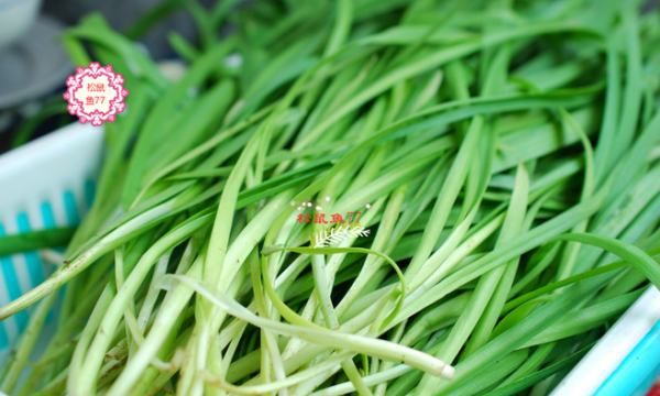 韭菜鸡蛋肉馅饺子怎么调馅,韭菜鸡蛋饺子馅怎么调好吃图21