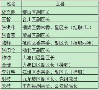 ​重庆各区最新任免（解码4月重庆人事任免）