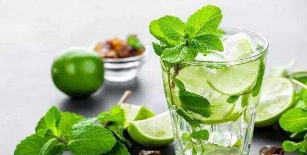 Mojito什么意思,mojito什么意思?怎么读图4