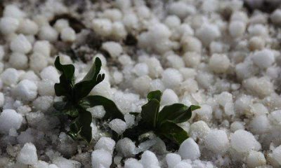 ​冰雹有哪些危害,杭州等地出现冰雹等强对流天气的原因