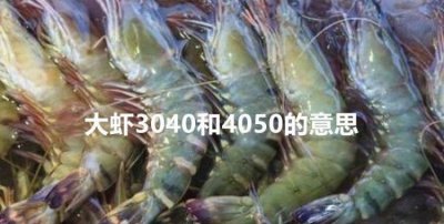 ​虾3040规格是什么意思，虾3040和4050是什么意思？