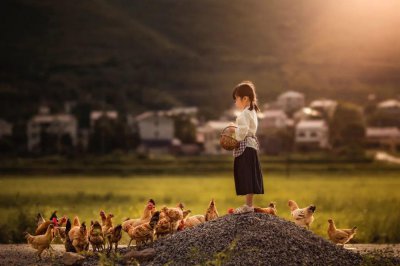 ​清明节为什么要扫墓的原因（清明节祭祖的来历及意义）