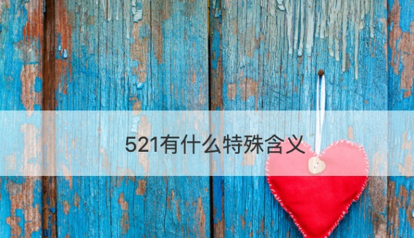 52的真正含义,51代表什么爱情含义图3