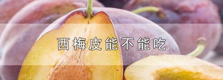 像梨子形状的李子叫什么