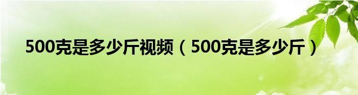 500g等于多少斤怎么算