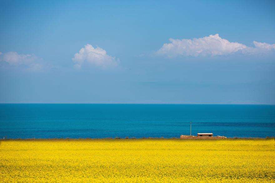 青海湖是淡水湖吗(青海湖是咸水湖还是淡水湖)