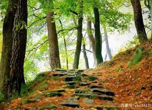 长亭外古道边芳草天是什么意思？长亭外古道边芳草天暗语-第1张图片-