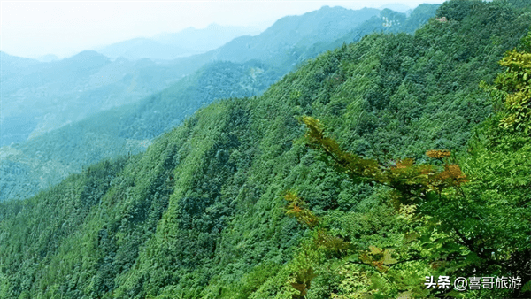 开州是哪个省哪个市(开州区属于哪个市)