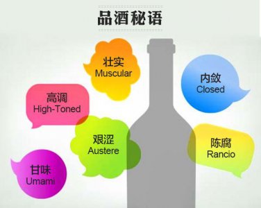 ​红酒的酒语(红酒酒语言)