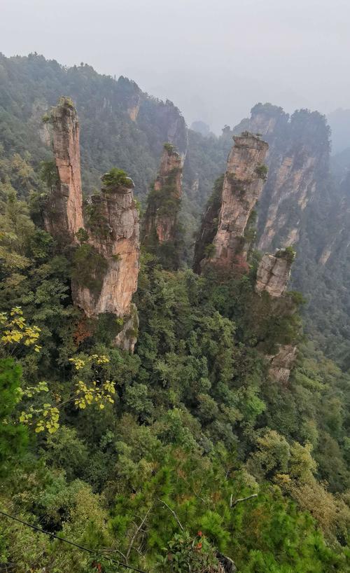 三、天子山