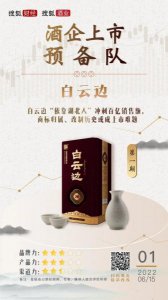 ​20年白云边45度和42度(20年白云边42度多少钱一瓶)