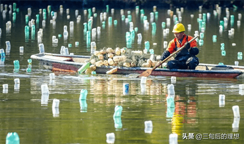 河蚌里面有珍珠吗(河蚌怎么养出珍珠)