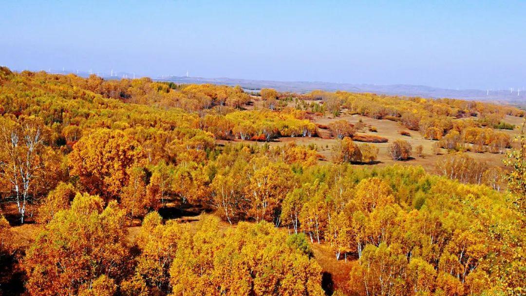 塞罕坝旅游最佳季节(塞罕坝最佳旅游时间)