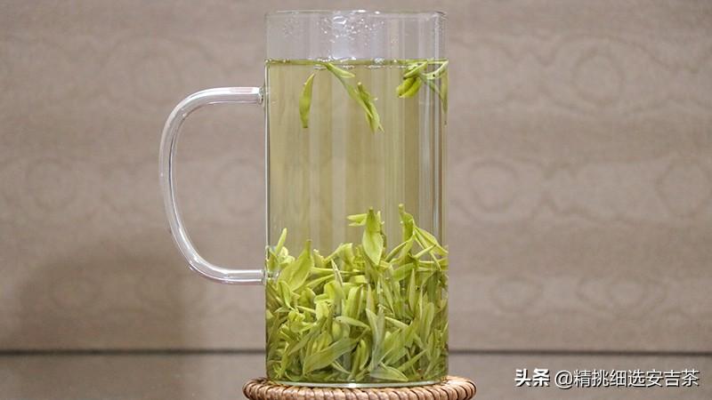 安吉白茶的口感是什么样（安吉白茶的特点和功效有哪些）