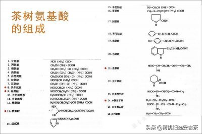 ​安吉白茶的口感是什么样（安吉白茶的特点和功效有哪些）