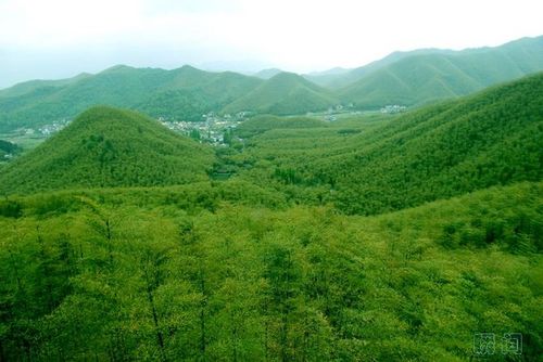 第四天：浙江工业大学-安吉竹海景区