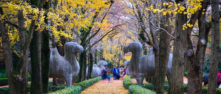 五、明孝陵景区