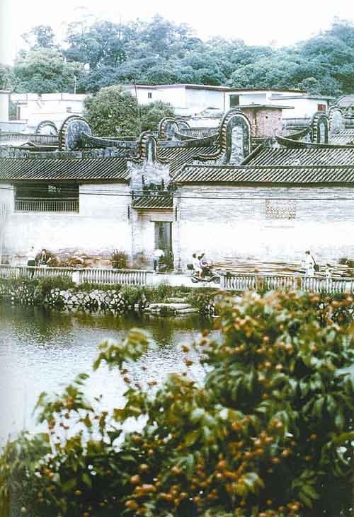 4.水西村