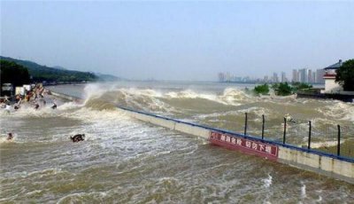 ​杭州钱江潮水时间(杭州本地宝钱江潮水时间)