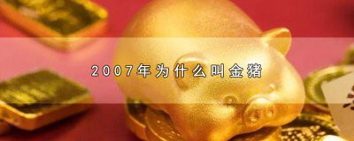 ​2007年为什么叫金猪(金猪年有什么寓意)