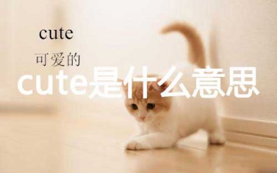 ​cute是什么意思(附cute的短语和例句)