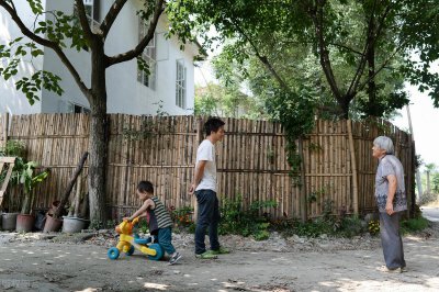 ​坐北朝南房子枣树栽哪方向好(枣树栽在门口左还是右)