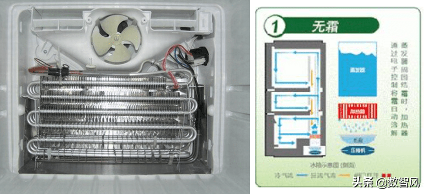 无霜冰箱里面结冰怎么回事(无霜冰箱冷冻室底部结冰)