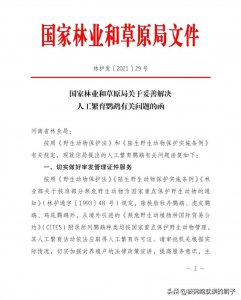 ​河南鹦鹉标识试点，这5点鸟友最关心，深入解读到底表达什么？