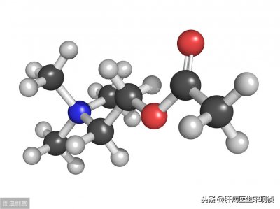 ​转氨酶高是肝炎吗（转氨酶高就一定是肝炎吗，1分钟教你了解）