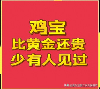 ​比黄金还贵，只有母鸡身上才会有的鸡宝，为什么如此值钱？